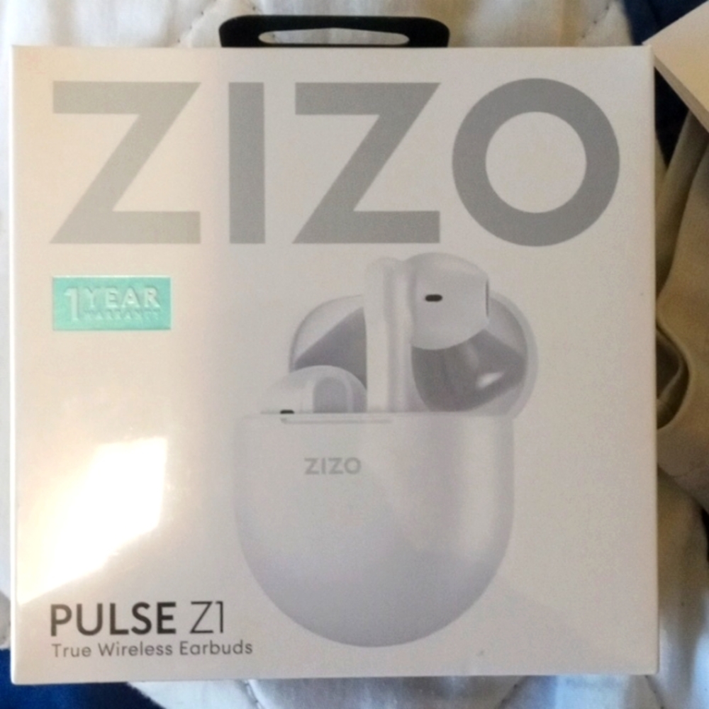 True wireless earbuds